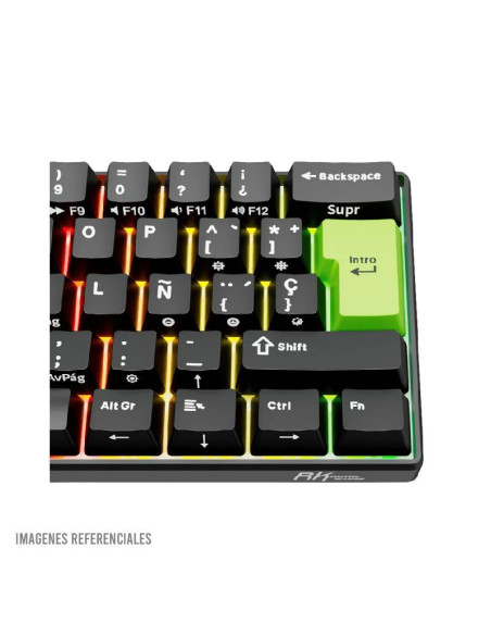 TECLADO GAMER ROYAL KLUDGE RK C61 BLACK GREEN| MINT SWITCH| CABLEADO| LED-RGB