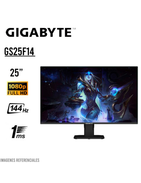 Monitor GigaByte GS25F14