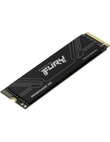 DISCO SSD KINGSTON 1024GB FURY RENEGADE G5 (...