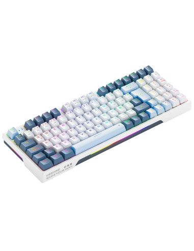 TECLADO GAMER MACHENIKE K500 PRO RGB SWITCH...